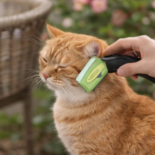 Deshedding Brush for Dogs & Cats | ShedControl™ Tool