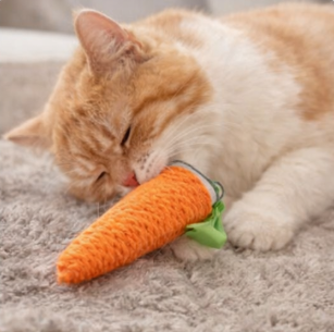 CarrotPlay™ Catnip Teething Toy