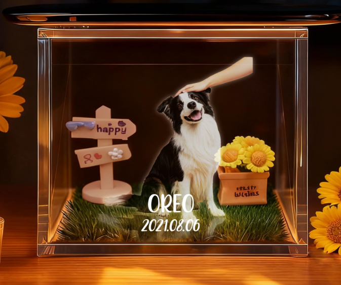 PawEternal Memory Display – Pet Memorial Frame