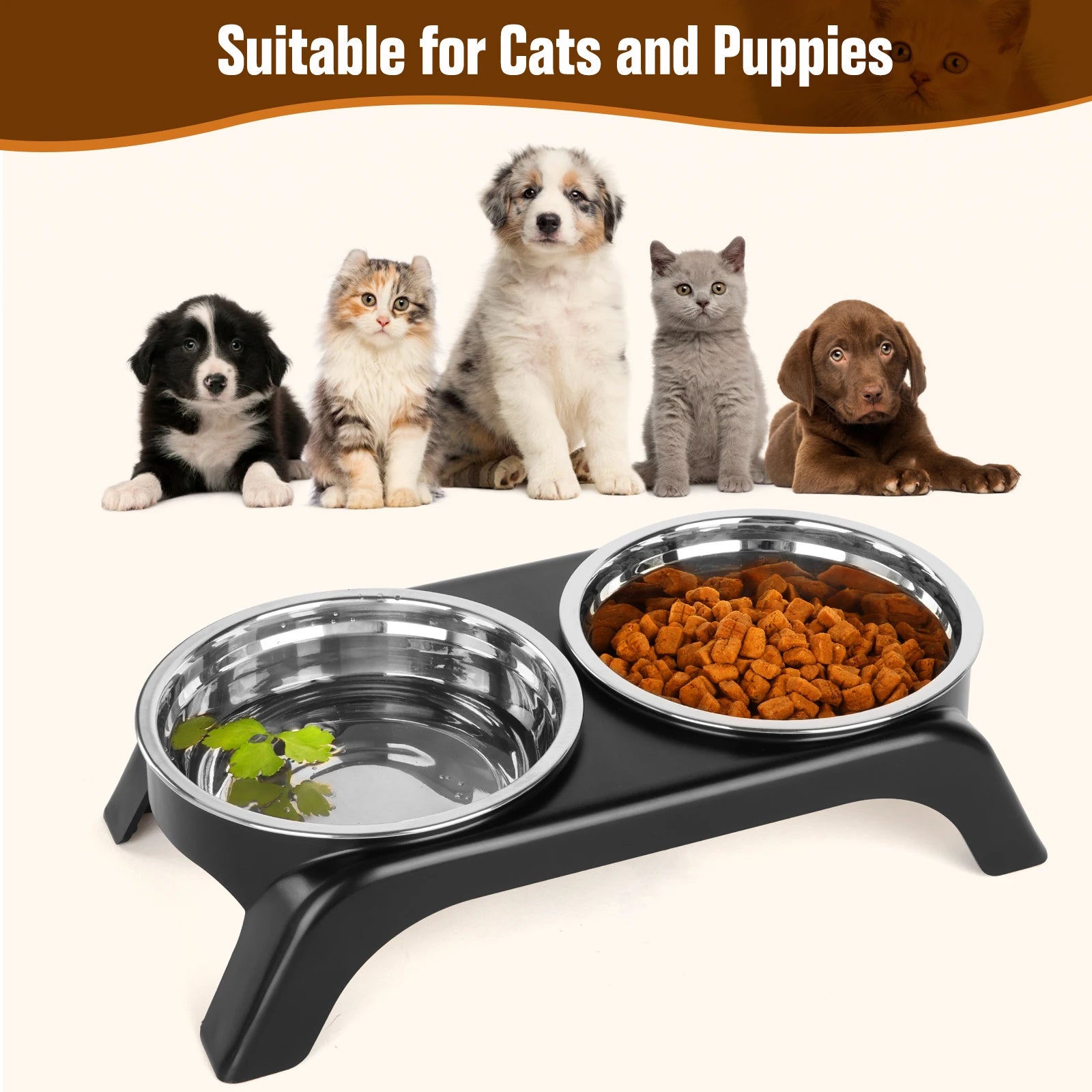 Elevated Cat Bowls, Dog Bowl,Stainless Steel Raised Cat Food Water Bowl Set with ABS Anti Slip Stand for Indoor Cats