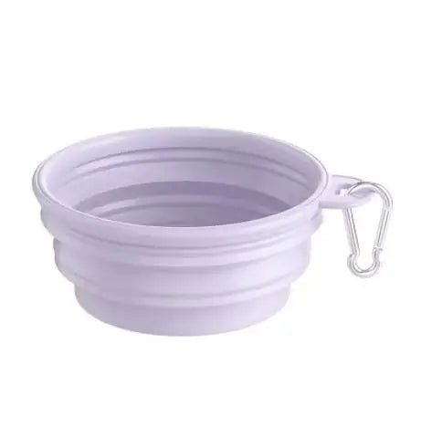 The Daily Walk Bowl