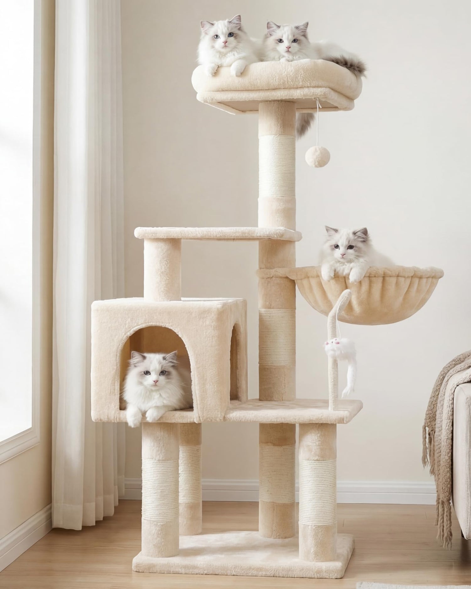 Cats - Grooming
