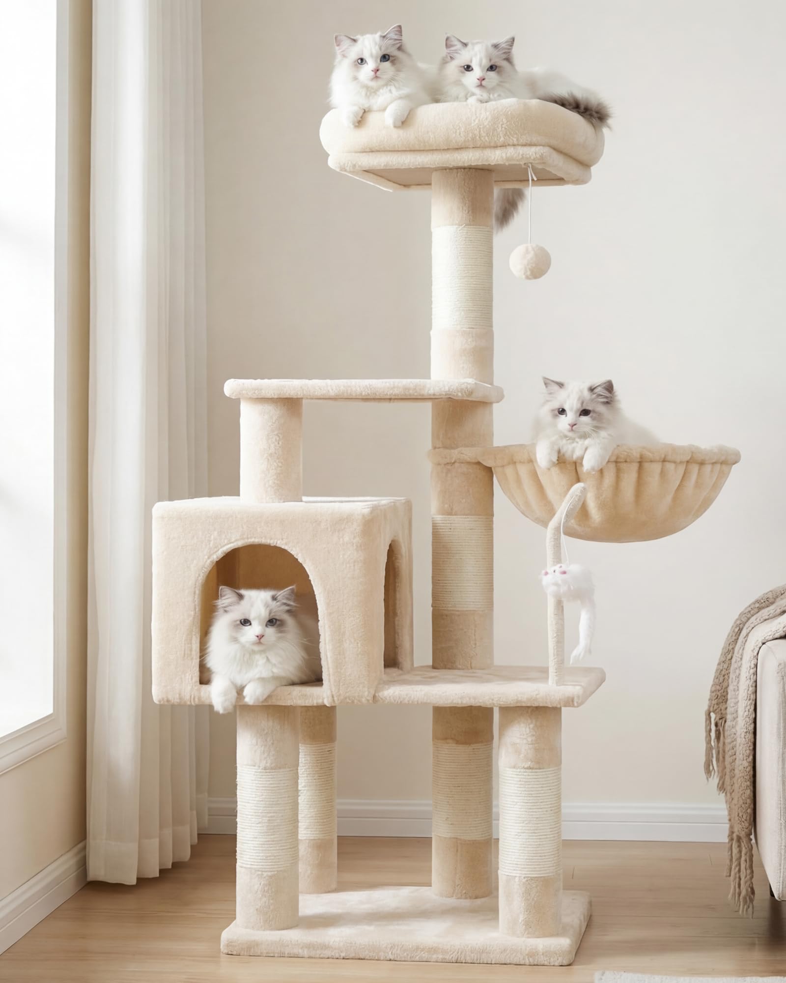 Cats - Grooming