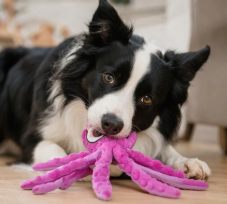 OctoPlay Interactive Dog Toy for Active Dogs