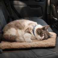 Self-Heating Pet Mat for Cats &amp; Dogs – WarmNest™ Comfort Bed