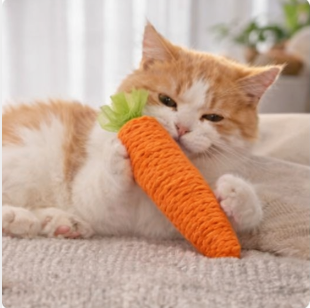 CarrotPlay™ Catnip Teething Toy