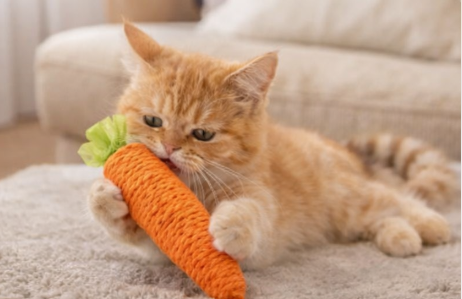 CarrotPlay™ Catnip Teething Toy