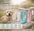 Portable Hydration Bottle – SipSpring™