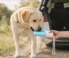 Portable Hydration Bottle – SipSpring™