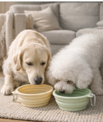 The Daily Walk Bowl