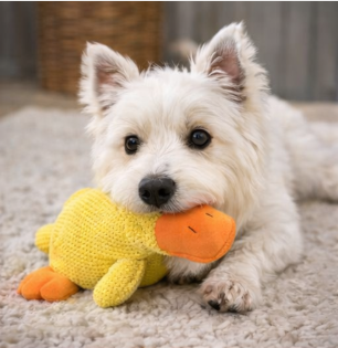 SnuggleDuck Comfort Squeaky Toy for Dogs – Soft &amp; Durable