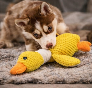 Durable Plush Goose Toy for Dogs