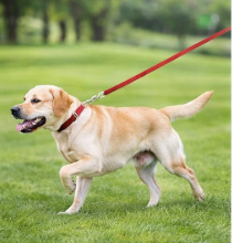 FreedomLead Long Training Lead for Dogs