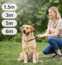 FreedomLead Long Training Lead for Dogs
