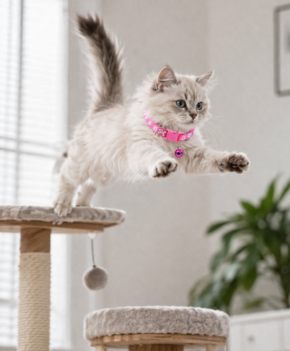 Adjustable Cat Collar with Bell | SafeCharm™