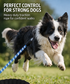 NightSafe Heavy Duty Dog Lead – Strong Reflective Leash