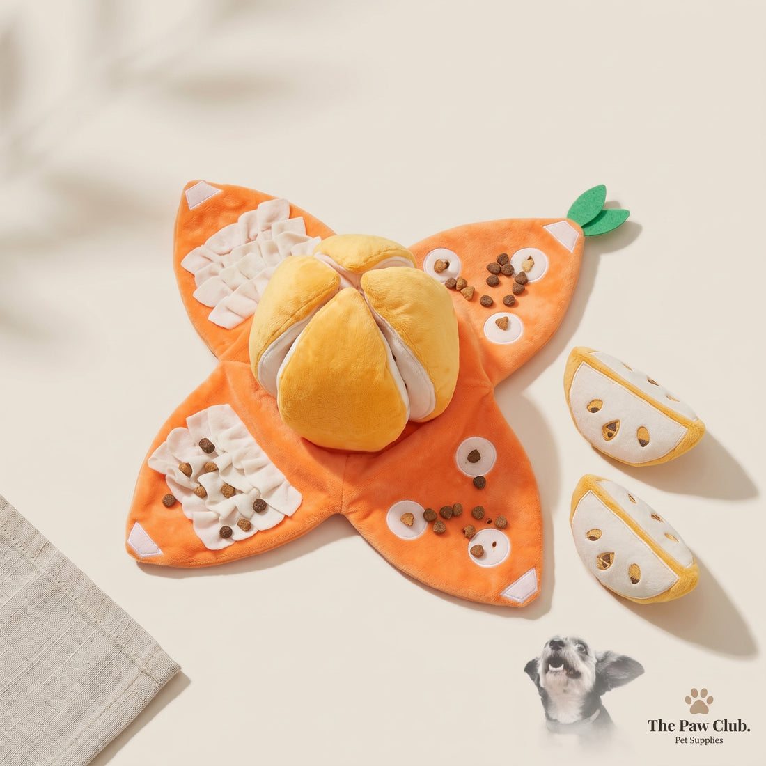 OrangeQuest Hide-and-Seek Enrichment Toy for Dogs