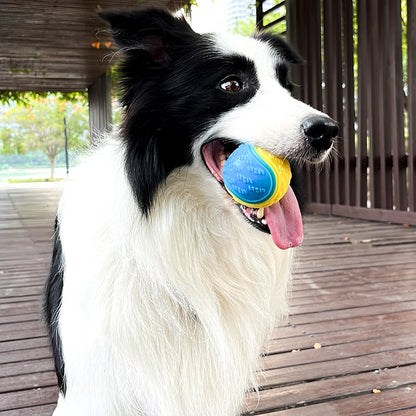 PawClean Chew Ball – Dog Dental Toy for Clean Teeth