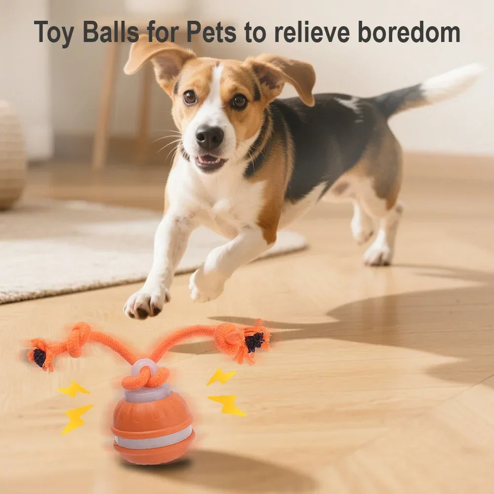 Smart Interactive Dog Ball – ChaseIQ™ Motion Play Toy in action with a beagle chasing a colorful toy ball.
