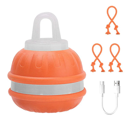 Smart Interactive Dog Ball in orange with USB cable and three orange leashes for play.