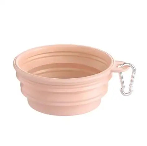 The Daily Walk Bowl