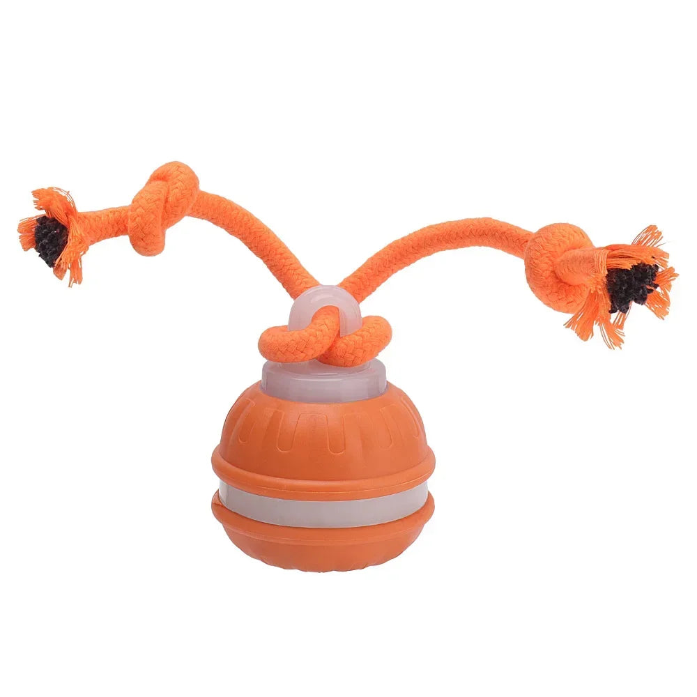 Smart Interactive Dog Ball – ChaseIQ™ Motion Play Toy designed for active fun and engaging playtime for dogs.