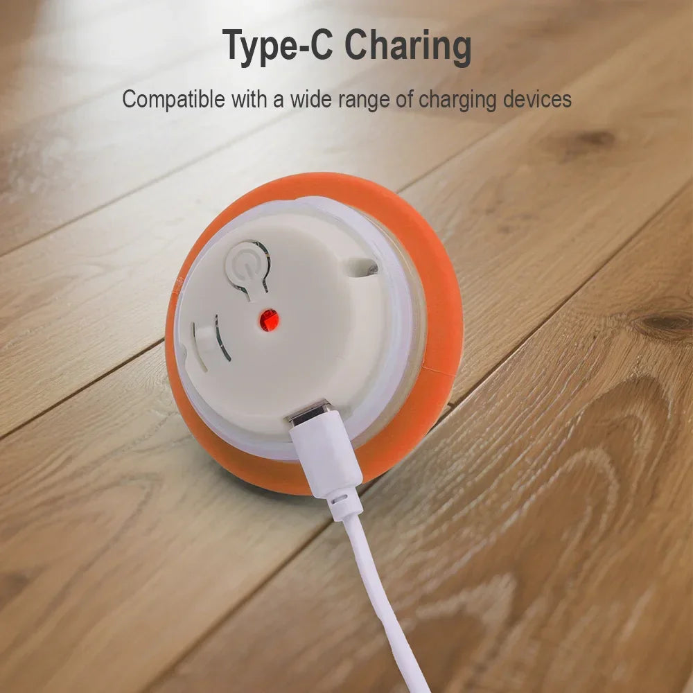 Smart Interactive Dog Ball with Type-C charging compatibility on a wooden surface.