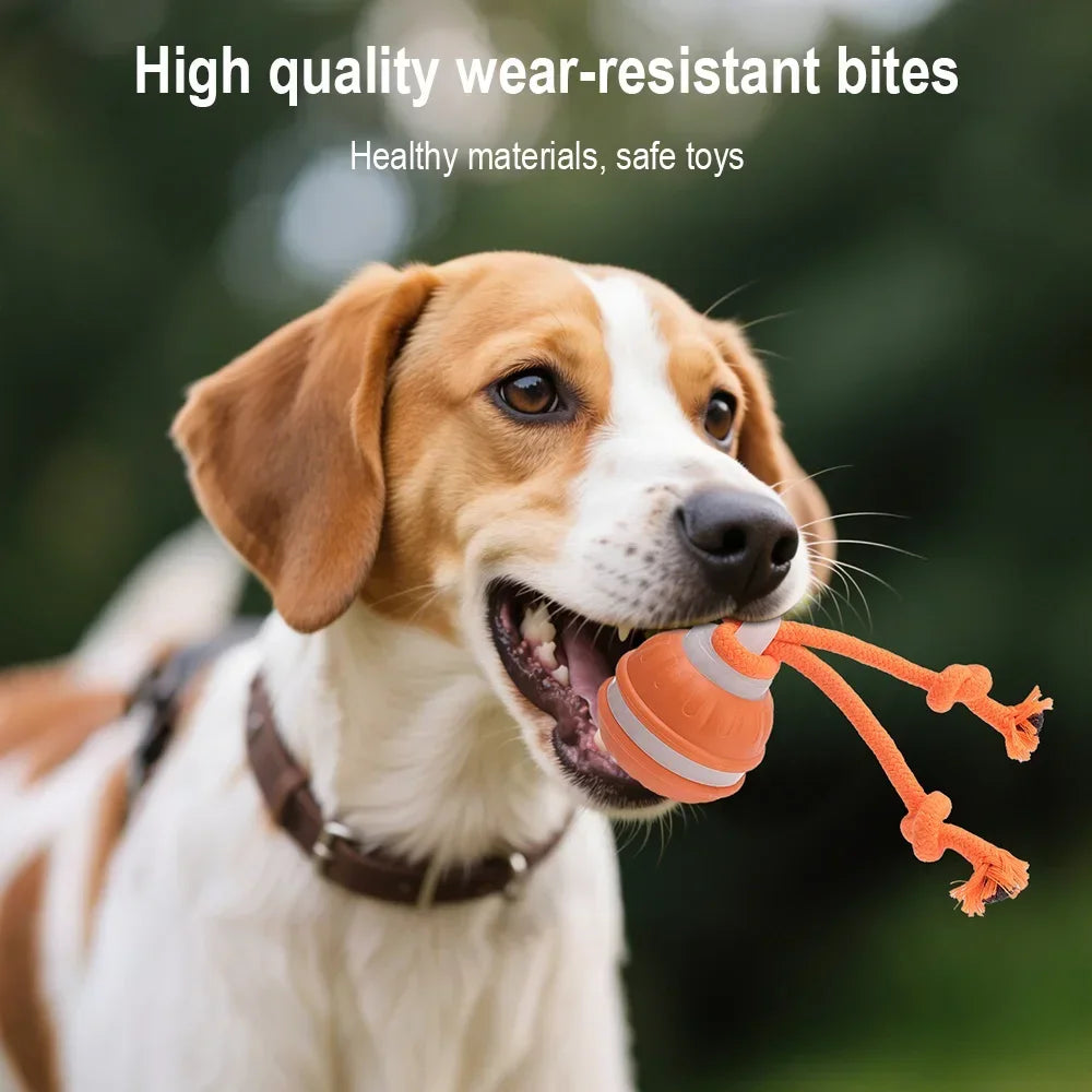 Smart Interactive Dog Ball being enjoyed by a playful beagle, highlighting high-quality, wear-resistant materials.