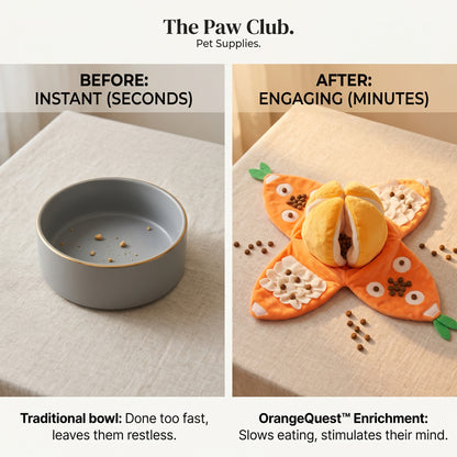 OrangeQuest Hide-and-Seek Enrichment Toy for Dogs